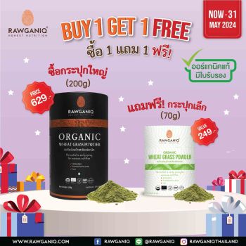 (Buy 1 Get 1 Free) Organic Wheat Grass Powder (70g / 200g)